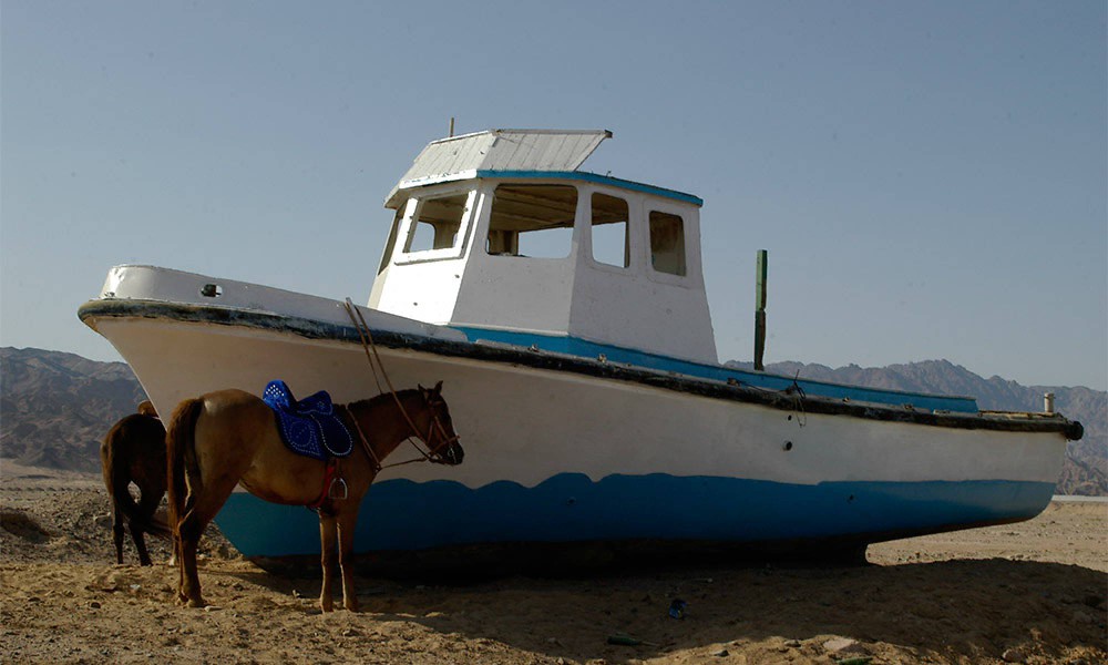 Dahab