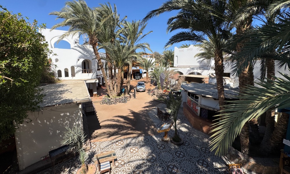 Dahab Divers