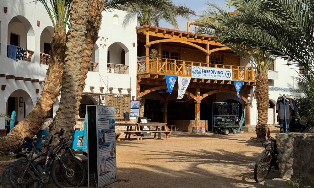 Dahab Divers