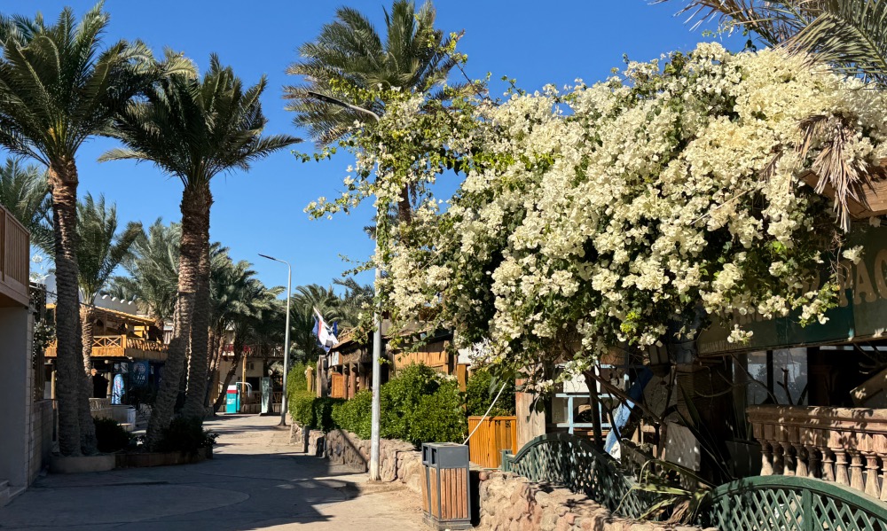 Promenade